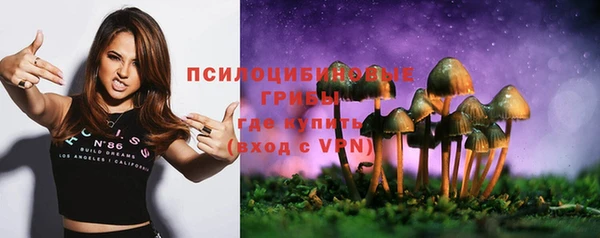каннабис Аркадак