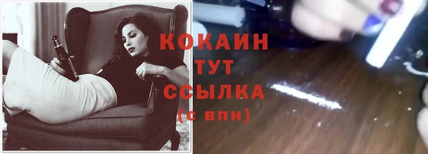 прущие крисы Арсеньев