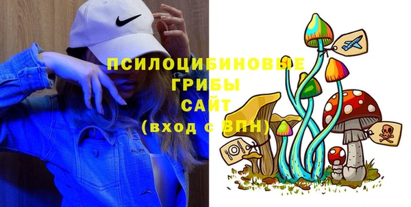 прущие крисы Арсеньев