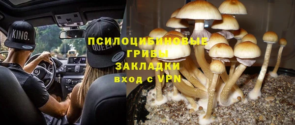 прущие крисы Арсеньев