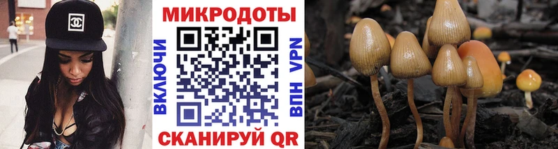 сайты даркнета официальный сайт  где продают наркотики  Тайшет  Галлюциногенные грибы MAGIC MUSHROOMS 